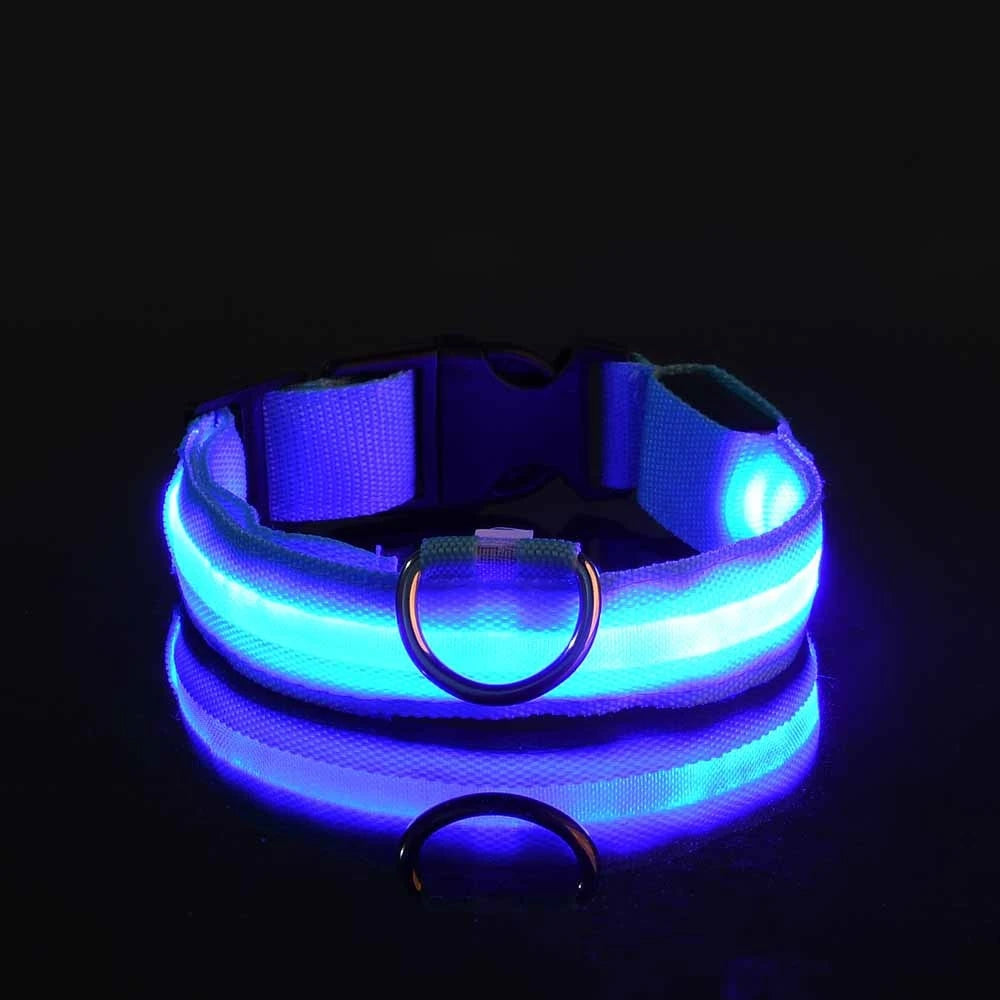 Correa de nailon para perros con luces LED nocturnas que brillan en la oscuridad, luminosa y fluorescente.