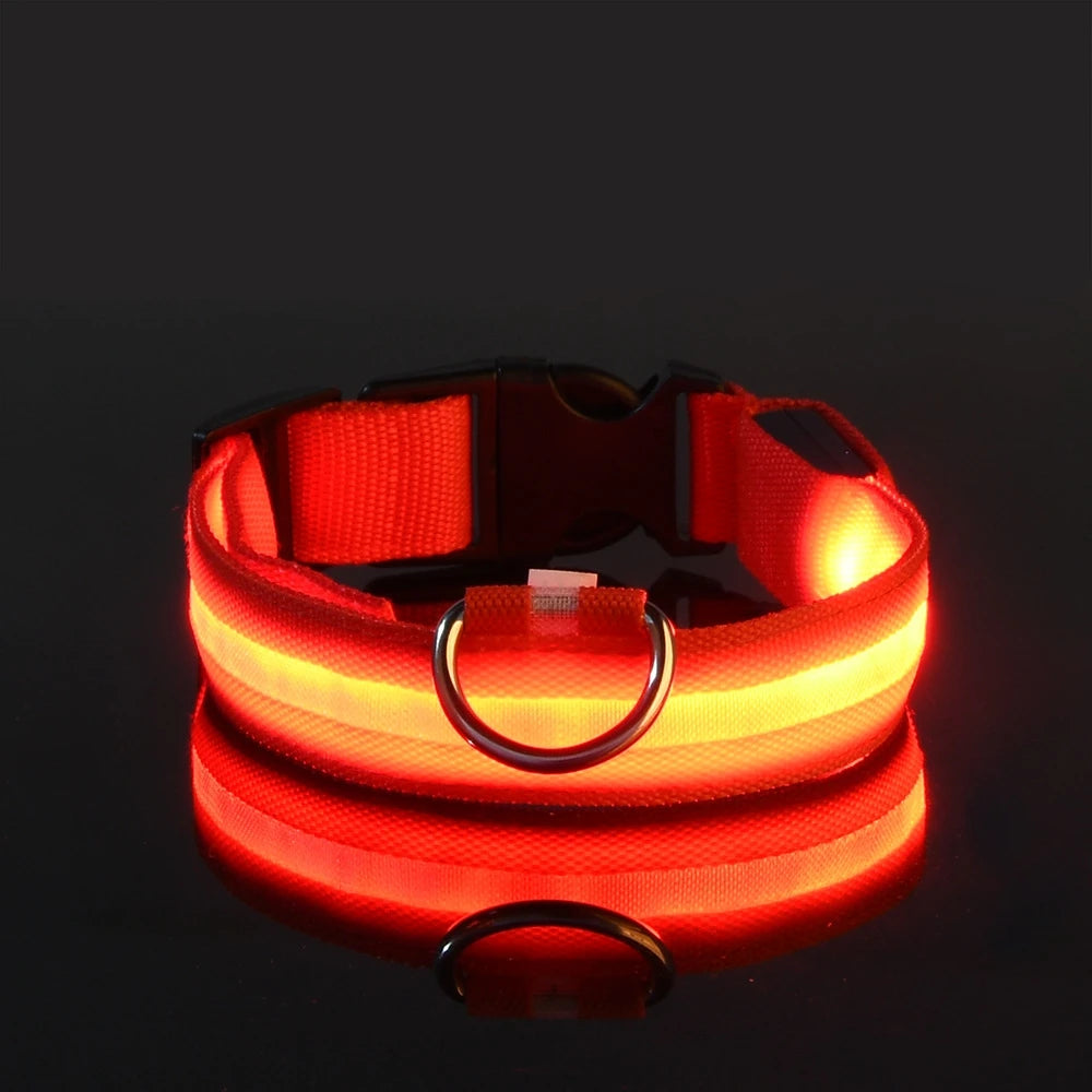 Correa de nailon para perros con luces LED nocturnas que brillan en la oscuridad, luminosa y fluorescente.