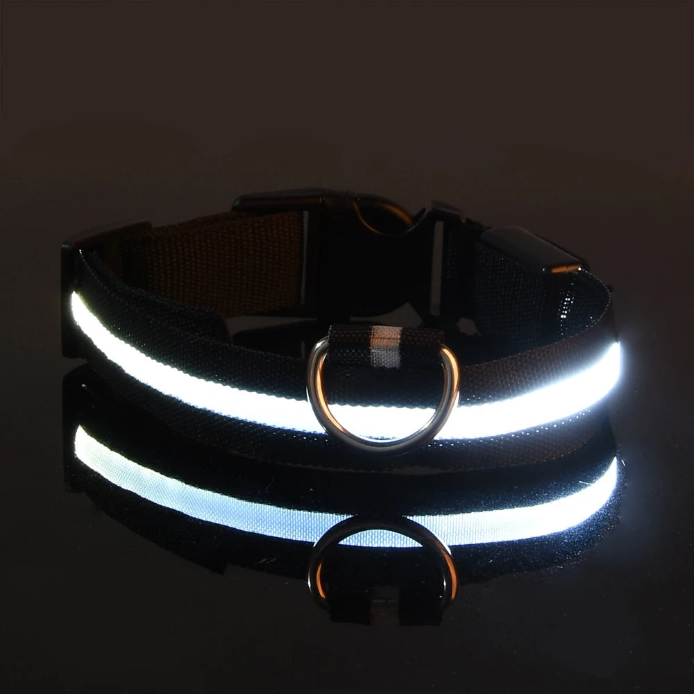 Correa de nailon para perros con luces LED nocturnas que brillan en la oscuridad, luminosa y fluorescente.