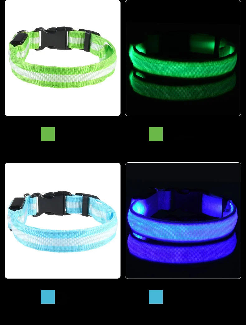 Correa de nailon para perros con luces LED nocturnas que brillan en la oscuridad, luminosa y fluorescente.