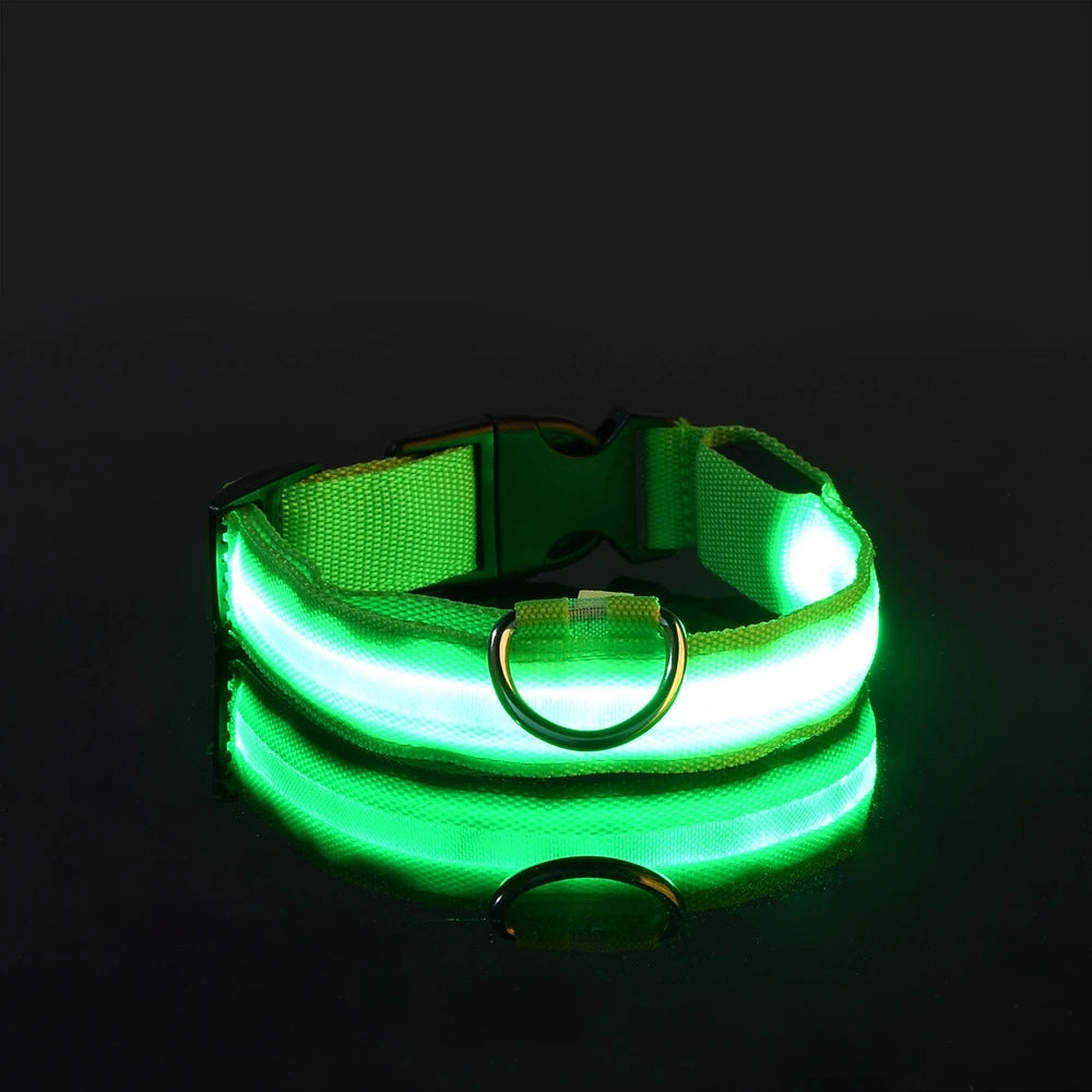 Correa de nailon para perros con luces LED nocturnas que brillan en la oscuridad, luminosa y fluorescente.
