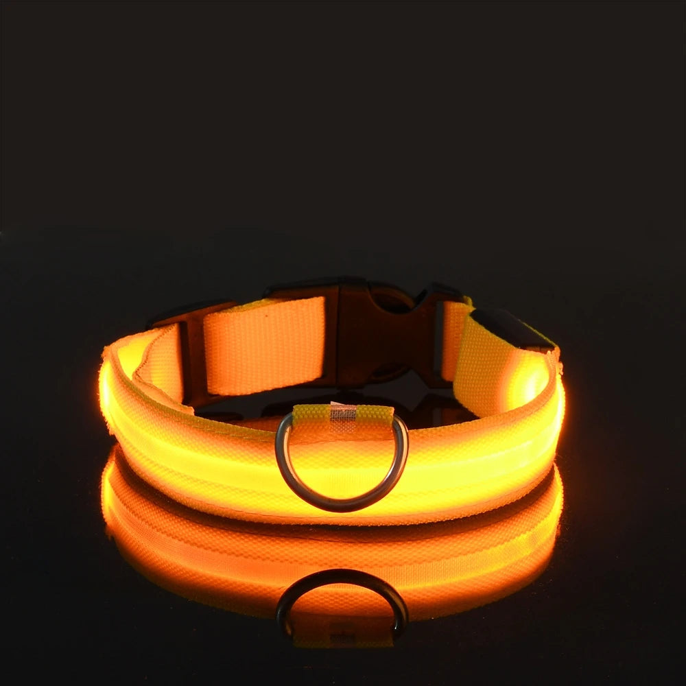 Correa de nailon para perros con luces LED nocturnas que brillan en la oscuridad, luminosa y fluorescente.