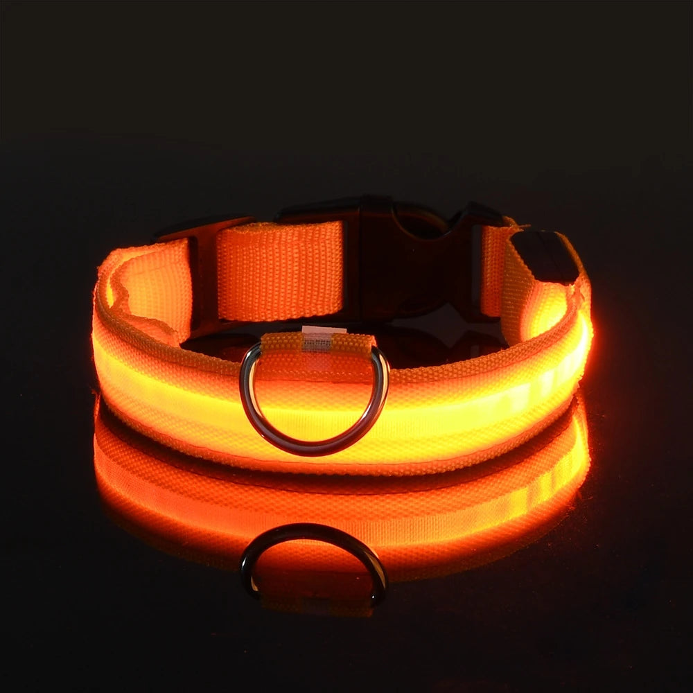 Correa de nailon para perros con luces LED nocturnas que brillan en la oscuridad, luminosa y fluorescente.