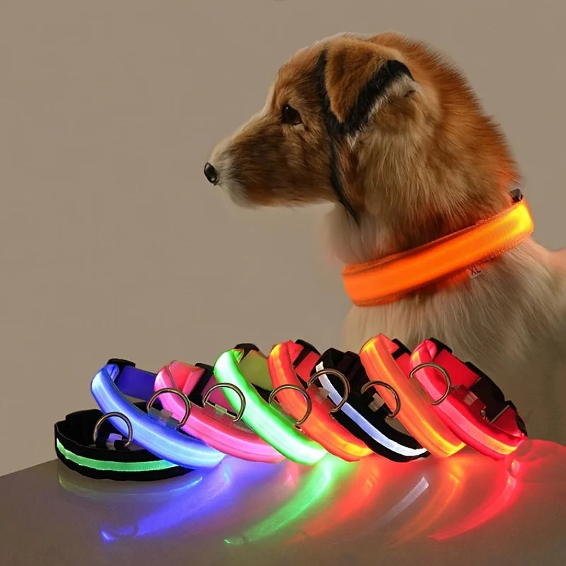 Correa de nailon para perros con luces LED nocturnas que brillan en la oscuridad, luminosa y fluorescente.
