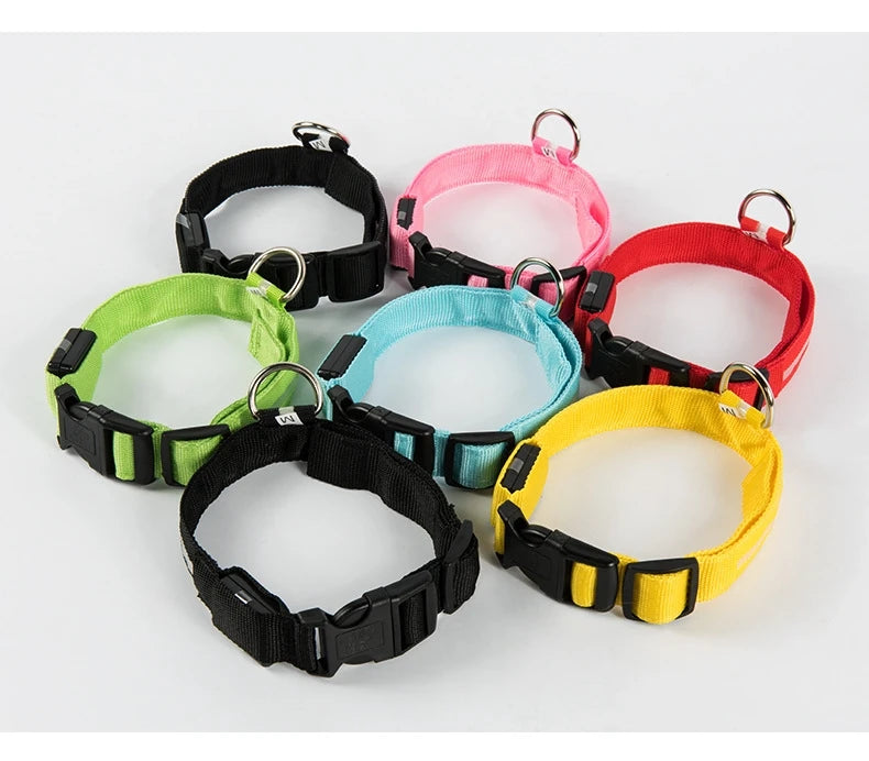 Correa de nailon para perros con luces LED nocturnas que brillan en la oscuridad, luminosa y fluorescente.