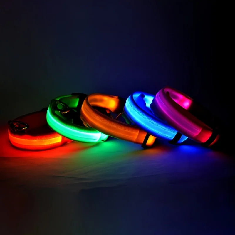 Correa de nailon para perros con luces LED nocturnas que brillan en la oscuridad, luminosa y fluorescente.