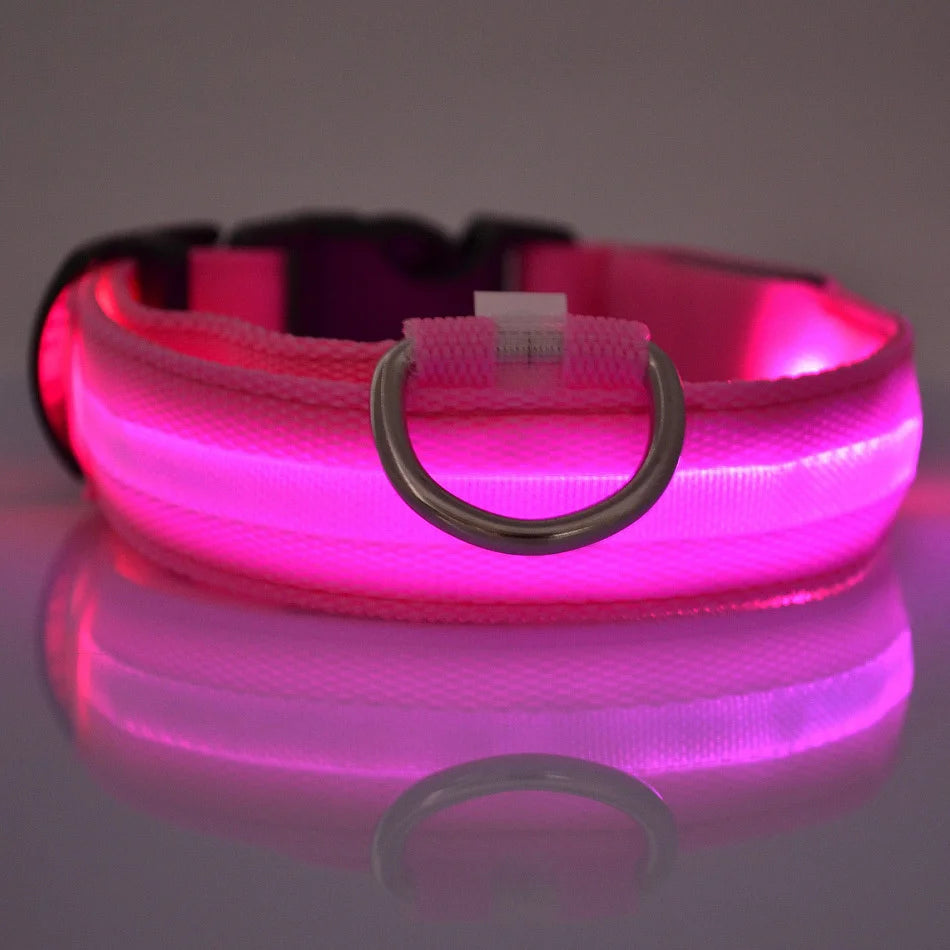 Correa de nailon para perros con luces LED nocturnas que brillan en la oscuridad, luminosa y fluorescente.