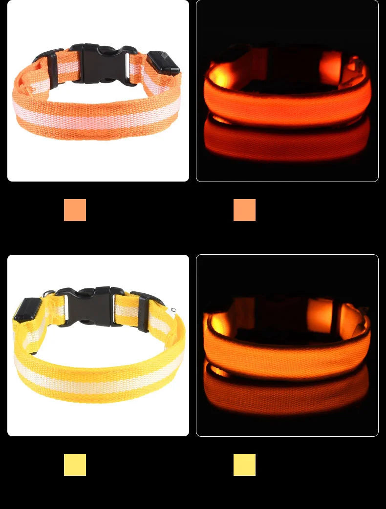 Correa de nailon para perros con luces LED nocturnas que brillan en la oscuridad, luminosa y fluorescente.