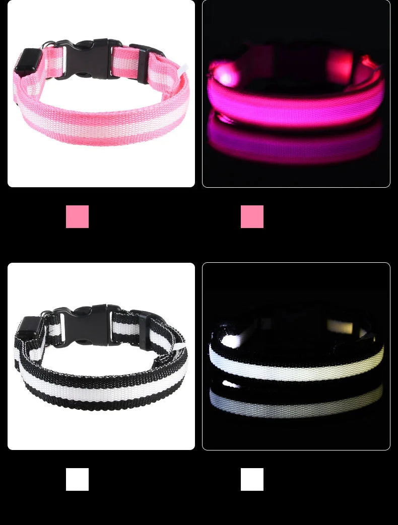 Correa de nailon para perros con luces LED nocturnas que brillan en la oscuridad, luminosa y fluorescente.