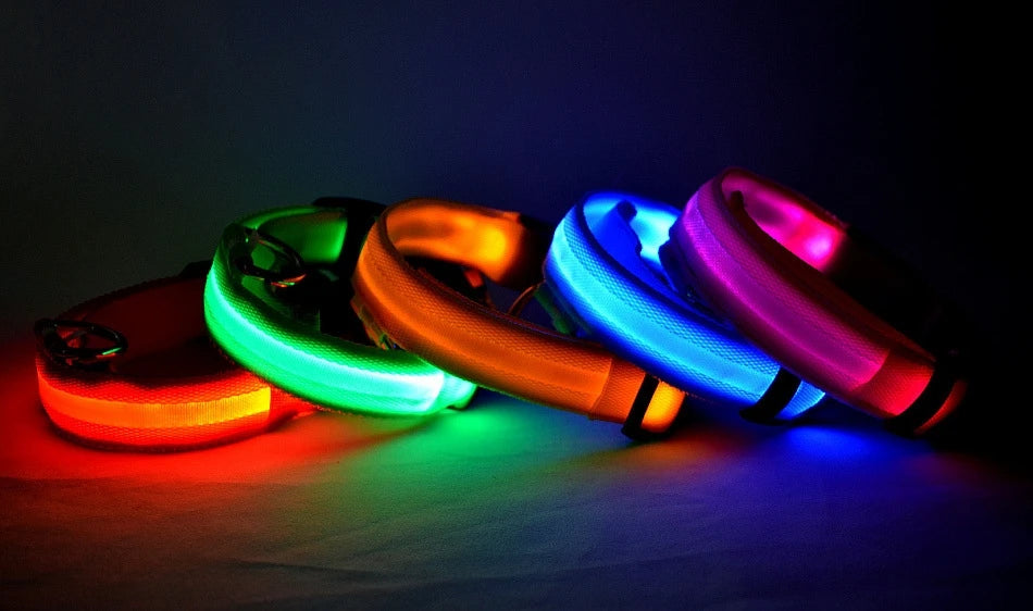 Correa de nailon para perros con luces LED nocturnas que brillan en la oscuridad, luminosa y fluorescente.