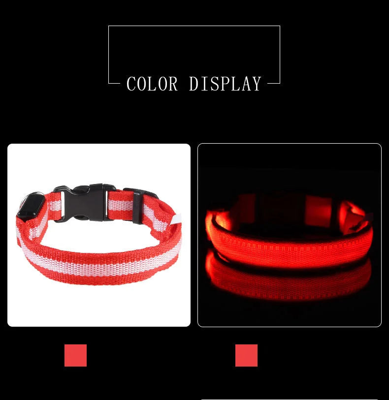Correa de nailon para perros con luces LED nocturnas que brillan en la oscuridad, luminosa y fluorescente.